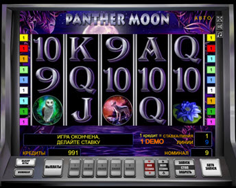Panther Moon