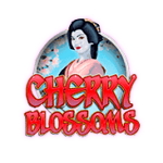 Cherry Blossoms