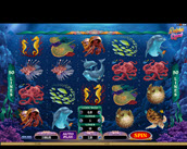 Dolphin Quest