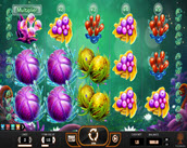 Fruitoids