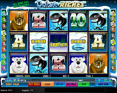 Polar Riches