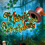 Magic & Wonders