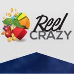 ReelCrazysportsbook Casino