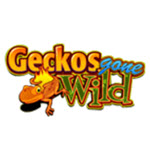 Geckos Gone Wild