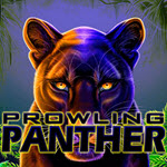 Prowling Panther