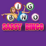 Sassy Bingo