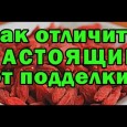 Стоит ли опасаться слотов-подделок?
