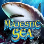 42811