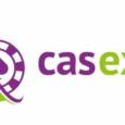 CASEXE о White Label в онлайн-гемблинге, его преимуществах и рисках для операторов