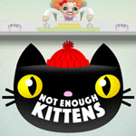 Not Enough Kittens
