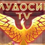 Стример казино Ludosik