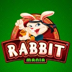 Rabbit mania