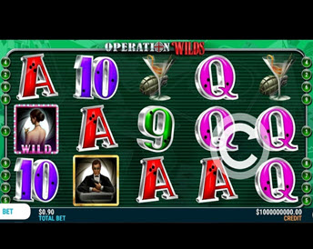 Operation Wilds
