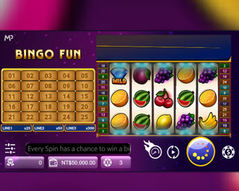 Bingo Fun