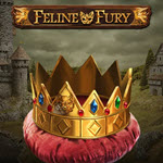 Feline Fury