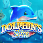 Dolphins Shine