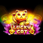 Lucky Cat