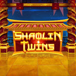 Shaolin Twins