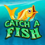 Catch a Fish
