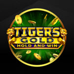 Tiger's Gold Hold and Win