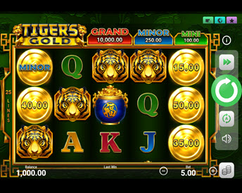 Tiger's Gold Hold and Win