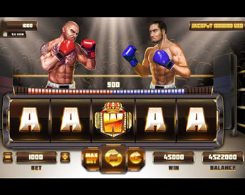 Tycoon Boxer