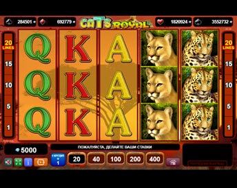 Cats Royal