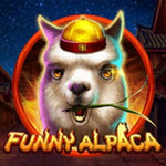 Funny Alpaca