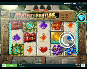 Mystery Fortune