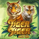 Tiger Tiger