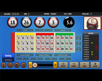 Bingo 37 Ticket