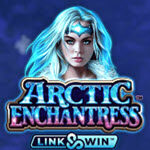 Arctic Enchantress