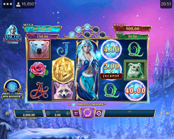 Arctic Enchantress
