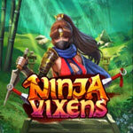 Ninja Vixens
