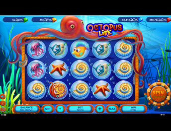 Octopus Life