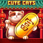 Cute Cats