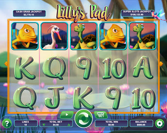 Lilly's Pad