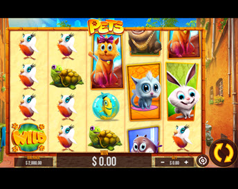 Pets (Wizard Games)