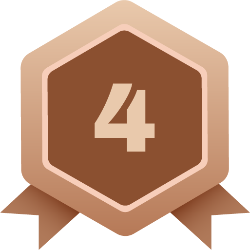 IV year IV year