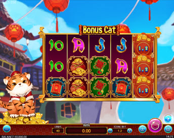 Bonus Cat