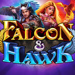 Falcon and Hawk