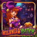 Wild Wild Witch