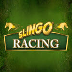 Slingo Racing