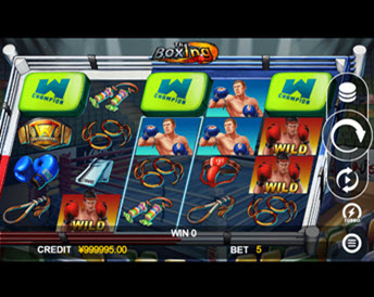 Thai Boxing