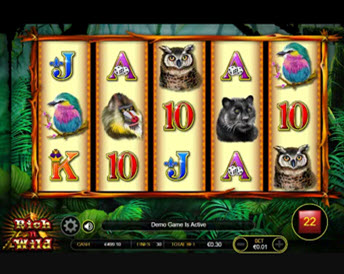 Rich N Wild