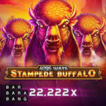 Stampede Buffalo