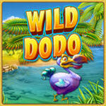 Wild Dodo