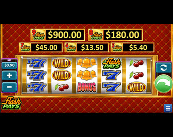 Flash Pays