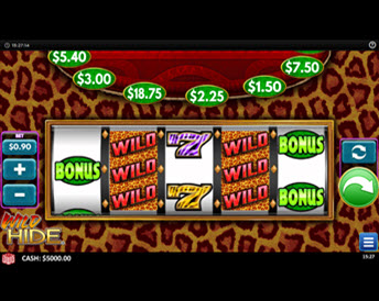 Wild Hide
