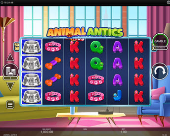 Animal Antics